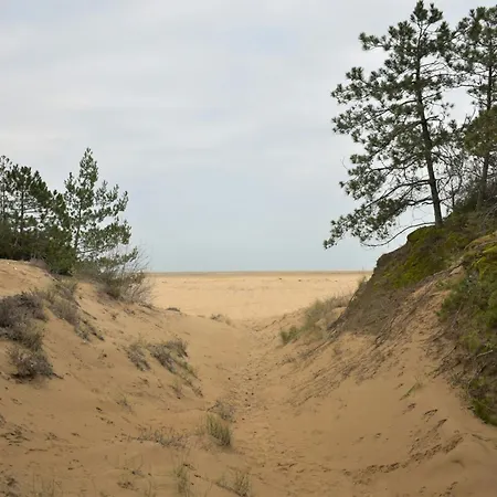 Functional Close To The Lignano Sabbiadoro